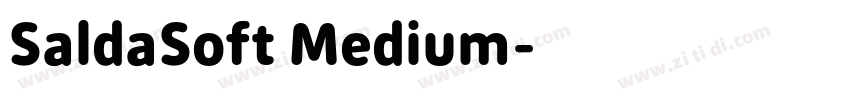 SaldaSoft Medium字体转换